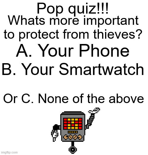 quiz time! | Pop quiz!!! Whats more important to protect from thieves? A. Your Phone; B. Your Smartwatch; Or C. None of the above | image tagged in quiz | made w/ Imgflip meme maker