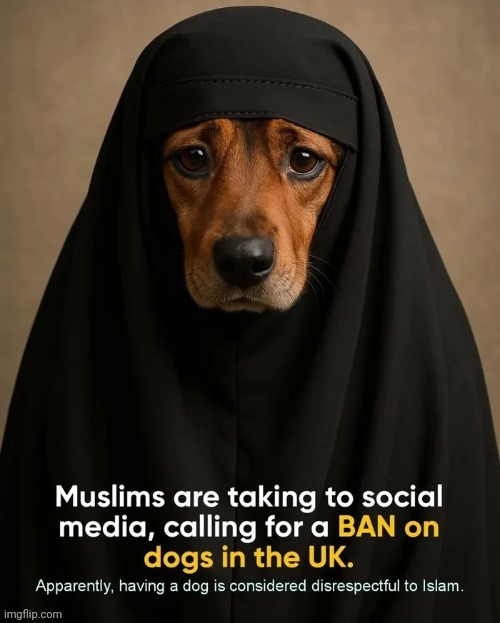 Flagged so much in "Politics" they finally found a reason to unfeature it | image tagged in triggered liberal,downvotes,stupid liberals,terrorist lovers,dog hijab | made w/ Imgflip meme maker