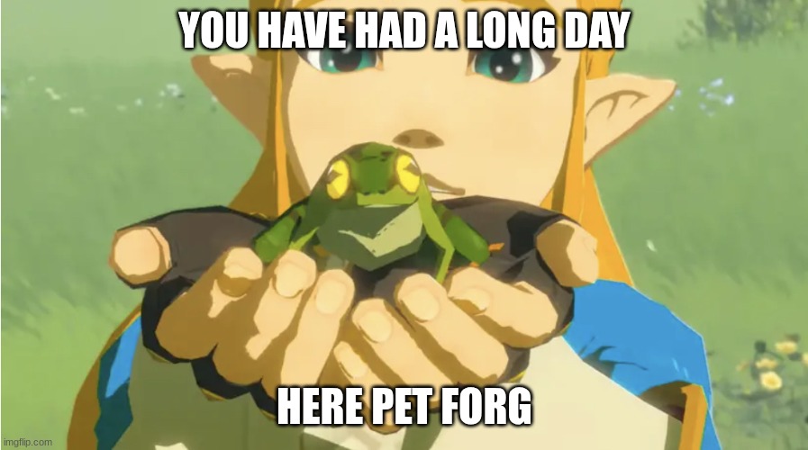 Check point for your day | YOU HAVE HAD A LONG DAY; HERE PET FORG | image tagged in forg | made w/ Imgflip meme maker
