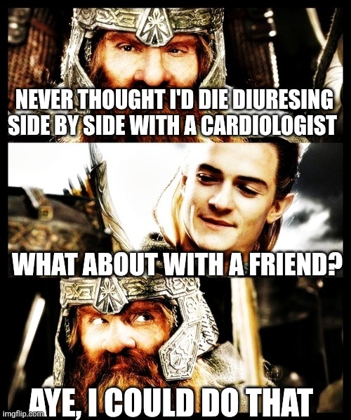 LOTR - Side by Side with a Friend | NEVER THOUGHT I'D DIE DIURESING SIDE BY SIDE WITH A CARDIOLOGIST; WHAT ABOUT WITH A FRIEND? AYE, I COULD DO THAT | image tagged in lotr - side by side with a friend | made w/ Imgflip meme maker