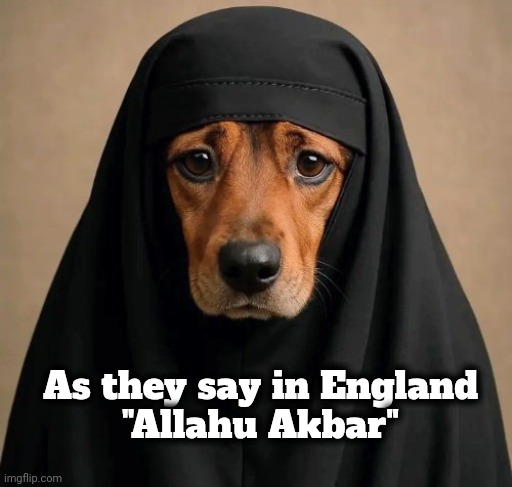 Europe has been assimilated already | As they say in England
"Allahu Akbar" | image tagged in resistance is futile,well yes but actually no,islam,x x everywhere,takeover,it's the law | made w/ Imgflip meme maker