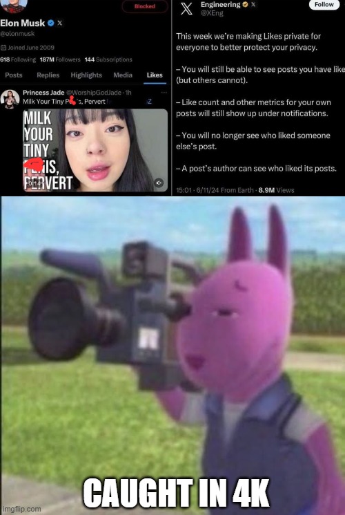 Musk, man | CAUGHT IN 4K | image tagged in caught in 4k,pathetic don | made w/ Imgflip meme maker