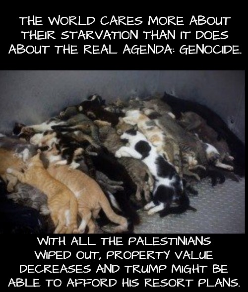 THE WORLD CARES MORE ABOUT THEIR STARVATION THAN IT DOES ABOUT THE REAL AGENDA: GENOCIDE. WITH ALL THE PALESTINIANS WIPED OUT, PROPERTY VALU | made w/ Imgflip meme maker