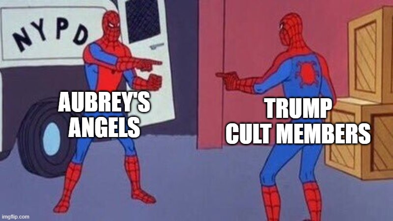 9sh03w.jpg