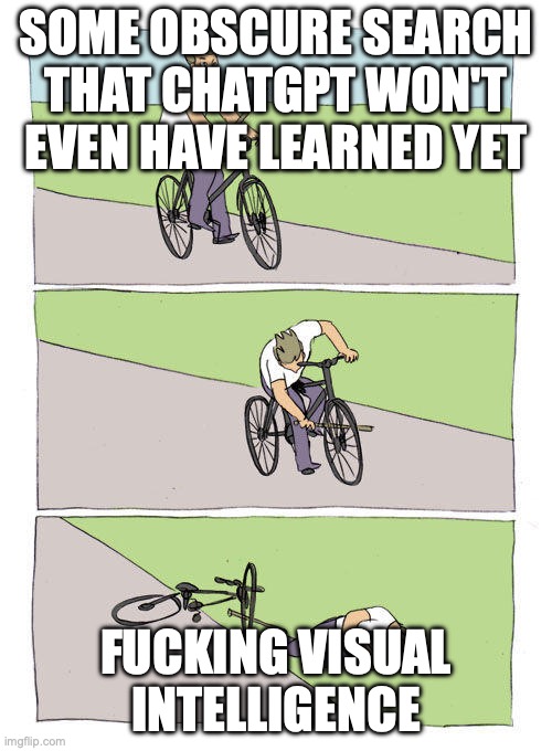stick in bike wheel meme | SOME OBSCURE SEARCH THAT CHATGPT WON'T EVEN HAVE LEARNED YET; FUCKING VISUAL INTELLIGENCE | image tagged in stick in bike wheel meme | made w/ Imgflip meme maker