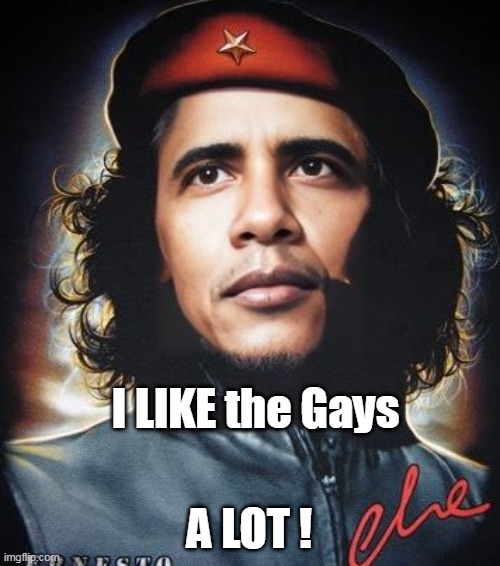 I LIKE the Gays A LOT ! | made w/ Imgflip meme maker