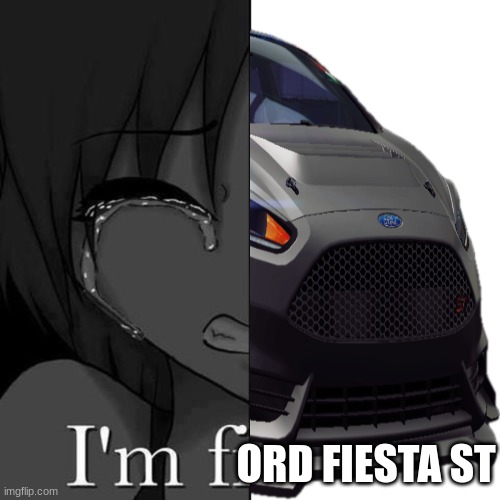 I'm fi | ORD FIESTA ST | image tagged in i'm fi | made w/ Imgflip meme maker