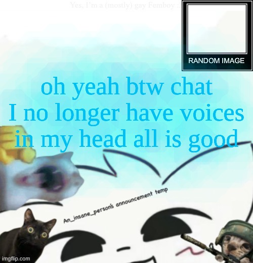 My lil announcement | oh yeah btw chat I no longer have voices in my head all is good | image tagged in my lil announcement | made w/ Imgflip meme maker