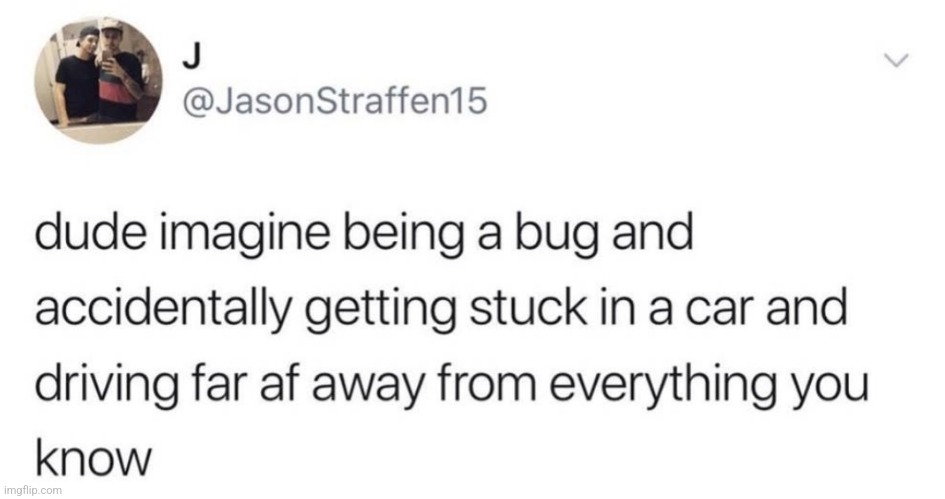 Maybe bugs aren't as annoying as I thought | image tagged in memes,funny,twitter,bugs,insects,shower thoughts | made w/ Imgflip meme maker
