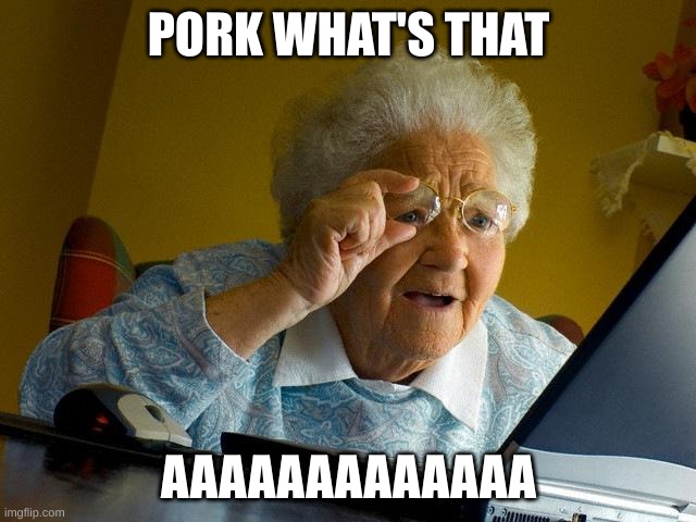 Grandma Finds The Internet | PORK WHAT'S THAT; AAAAAAAAAAAAA | image tagged in memes,grandma finds the internet | made w/ Imgflip meme maker