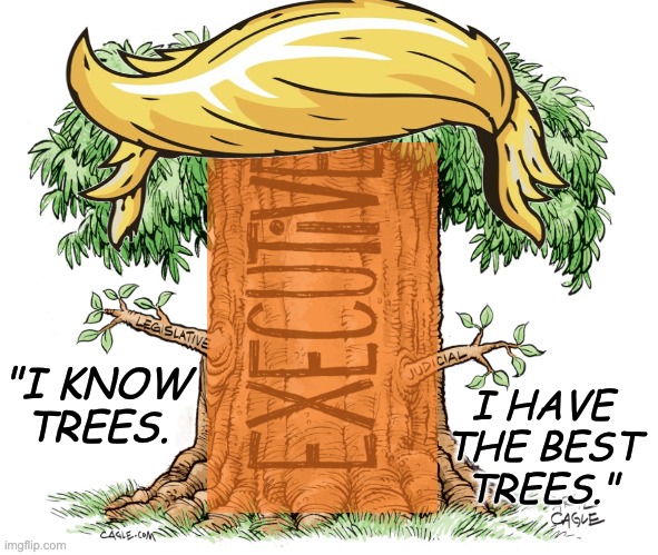 Update on a children's classic: The Grifting Tree | I HAVE
THE BEST
TREES."; "I KNOW
TREES. | image tagged in children,books,trees,trump,idiocracy,flies | made w/ Imgflip meme maker