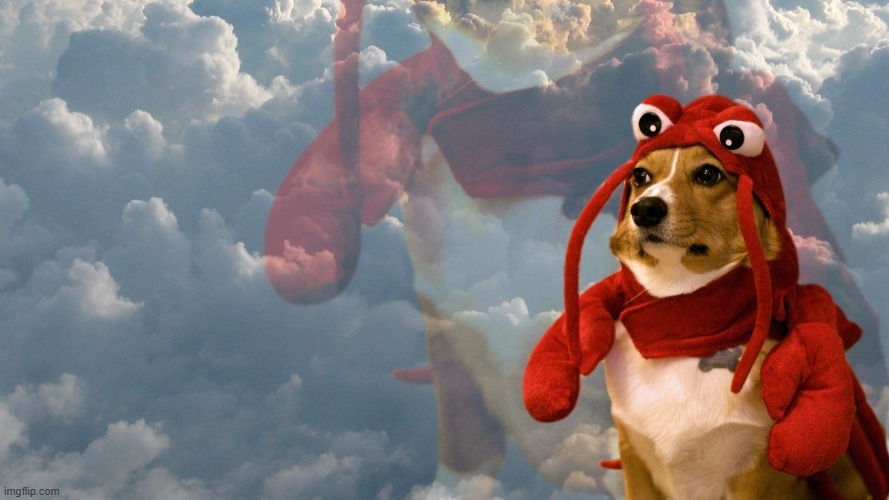 Corgi Ascended Lobster | image tagged in corgi ascended lobster | made w/ Imgflip meme maker