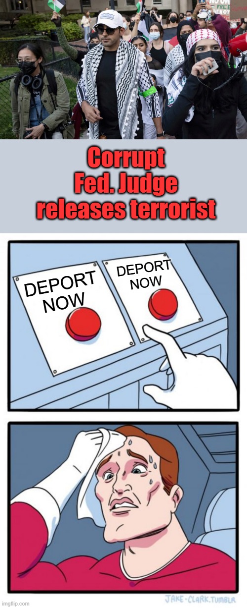 Corrupt Fed. Judge releases terrorist; DEPORT NOW; DEPORT NOW | image tagged in memes,two buttons | made w/ Imgflip meme maker
