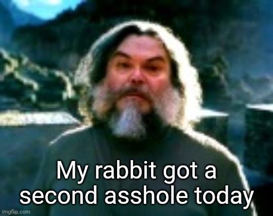 I am Steve (low quality) | My rabbit got a second asshole today | image tagged in i am steve low quality | made w/ Imgflip meme maker