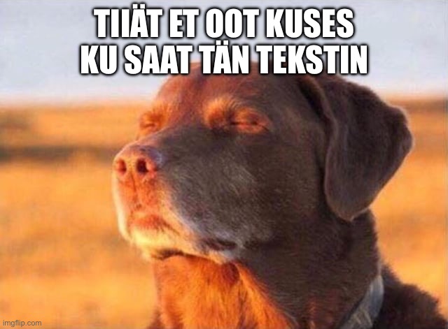 Dog close eye | TIIÄT ET OOT KUSES KU SAAT TÄN TEKSTIN | image tagged in dog close eye | made w/ Imgflip meme maker
