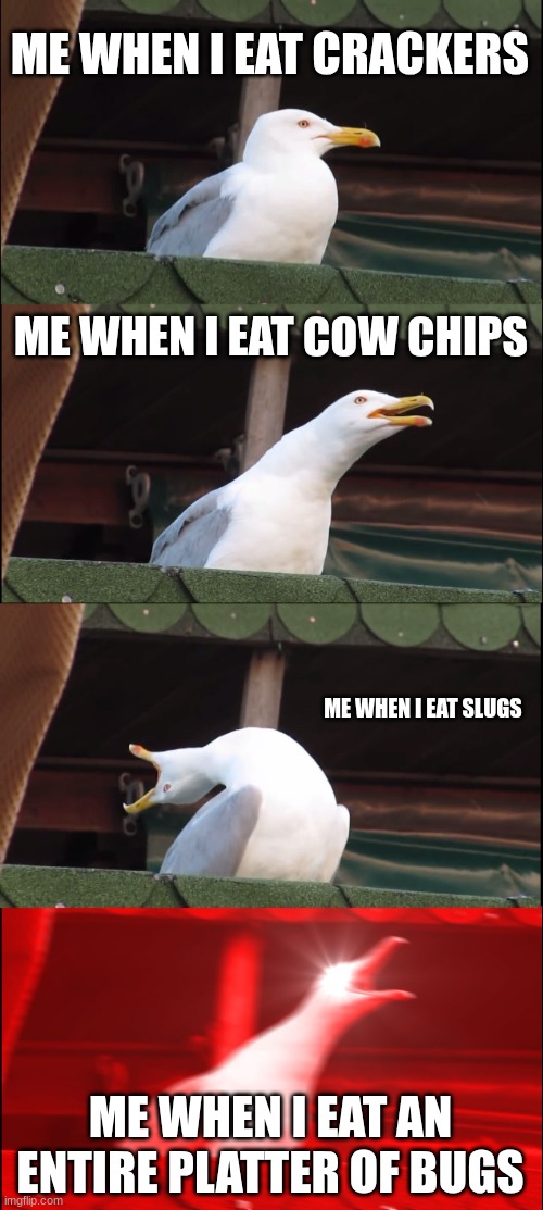 seagull | ME WHEN I EAT CRACKERS; ME WHEN I EAT COW CHIPS; ME WHEN I EAT SLUGS; ME WHEN I EAT AN ENTIRE PLATTER OF BUGS | image tagged in memes,inhaling seagull | made w/ Imgflip meme maker