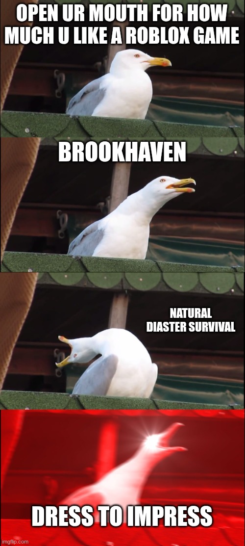 Roblox games | OPEN UR MOUTH FOR HOW MUCH U LIKE A ROBLOX GAME; BROOKHAVEN; NATURAL DIASTER SURVIVAL; DRESS TO IMPRESS | image tagged in memes,inhaling seagull | made w/ Imgflip meme maker