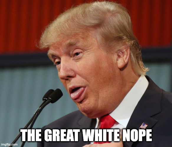 Trump Idiot | THE GREAT WHITE NOPE | image tagged in trump idiot,stupid trump,trump meme,donald trump is an idiot,trump is a moron,donald trump the clown | made w/ Imgflip meme maker