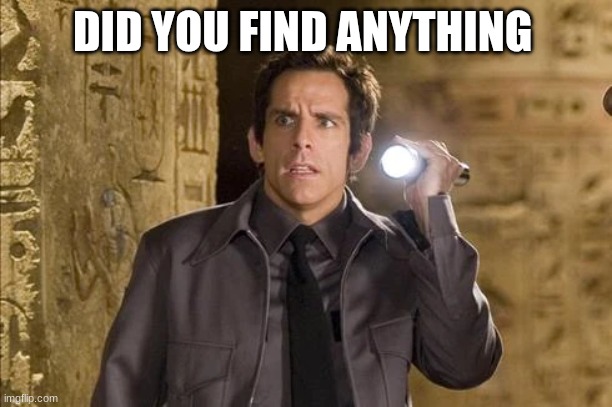 Larry | DID YOU FIND ANYTHING | image tagged in larry | made w/ Imgflip meme maker