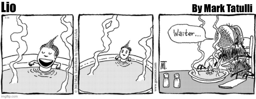 “Waiter, there’s a human in my soup!”… | By Mark Tatulli; Lio | image tagged in comics,lio,fly,a boy in my soup | made w/ Imgflip meme maker