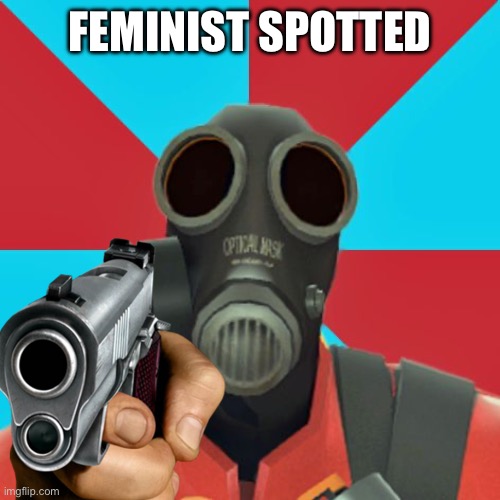 Paranoid Pyro | FEMINIST SPOTTED | image tagged in paranoid pyro | made w/ Imgflip meme maker