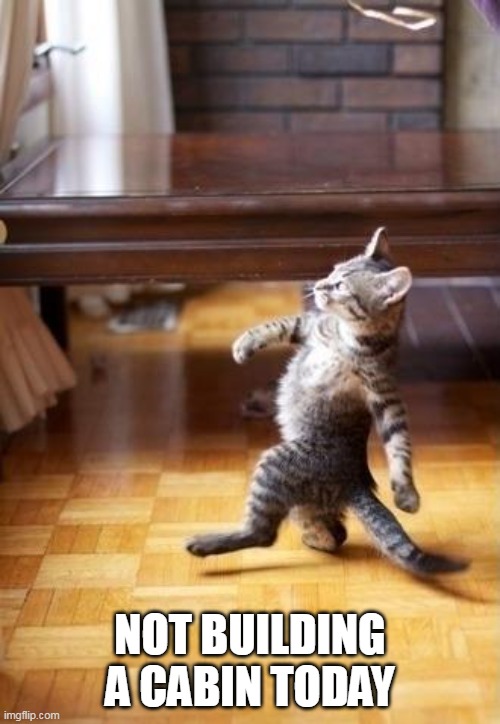 Cool Cat Stroll Meme | NOT BUILDING A CABIN TODAY | image tagged in memes,cool cat stroll | made w/ Imgflip meme maker