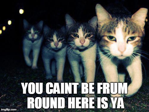 Wrong Neighboorhood Cats Meme | YOU CAINT BE FRUM ROUND HERE IS YA | image tagged in memes,wrong neighboorhood cats | made w/ Imgflip meme maker