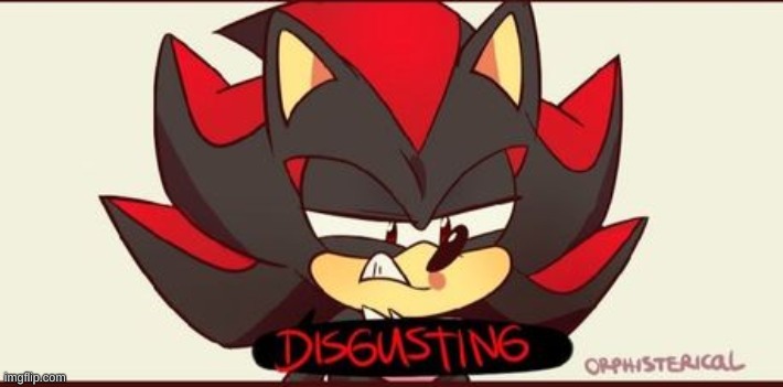 shadow disgusting | image tagged in shadow disgusting | made w/ Imgflip meme maker