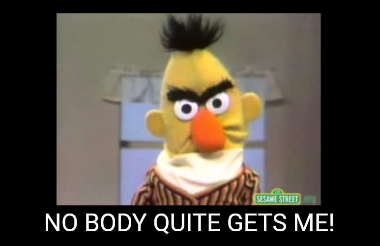 Angry Bert | NO BODY QUITE GETS ME! | image tagged in angry bert | made w/ Imgflip meme maker