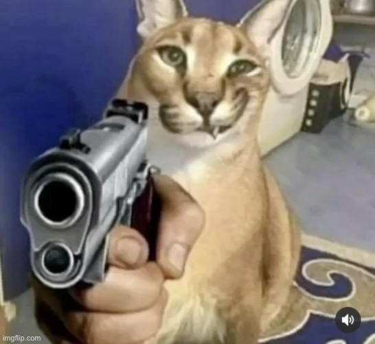 Big Flopa with Gun | image tagged in big flopa with gun | made w/ Imgflip meme maker