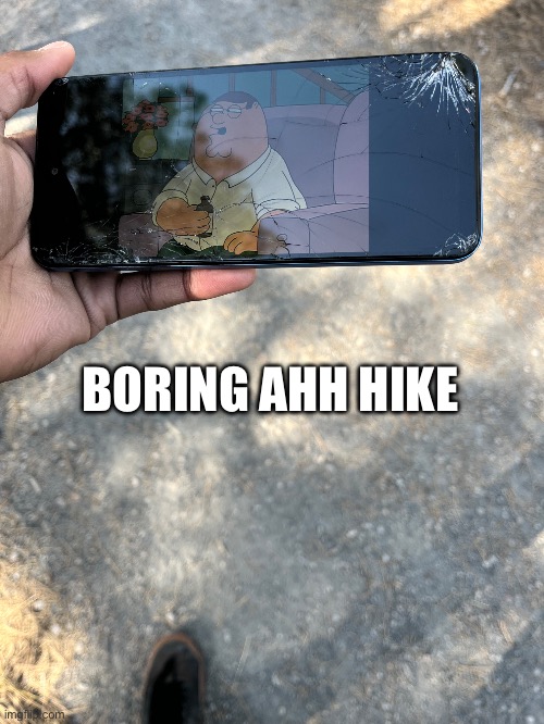 got 2 phones | BORING AHH HIKE | made w/ Imgflip meme maker