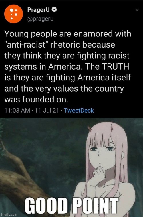 I hate racism and love America! | image tagged in prageru based,zero two good point | made w/ Imgflip meme maker