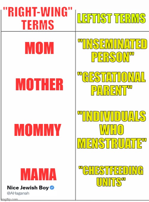 How the woke left views a Mother | "RIGHT-WING" TERMS; LEFTIST TERMS; MOM; "INSEMINATED PERSON"; "GESTATIONAL PARENT"; MOTHER; MOMMY; "INDIVIDUALS WHO MENSTRUATE"; MAMA; "CHESTFEEDING UNITS" | image tagged in comparsion,mother,woman | made w/ Imgflip meme maker