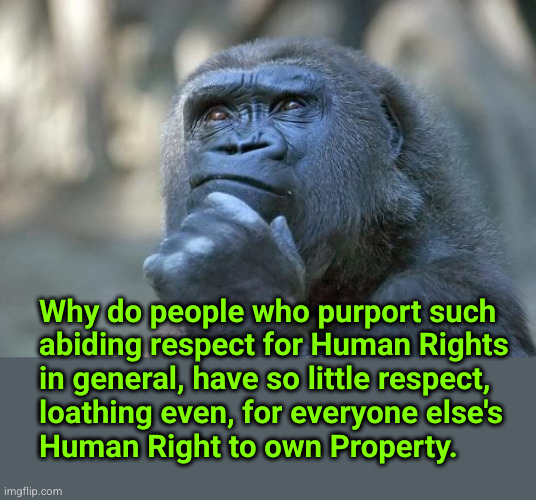 Why do people who purport such
abiding respect for Human Rights
in general, have so little respect,
loathing even, for everyone else's
Human | image tagged in that is the question | made w/ Imgflip meme maker