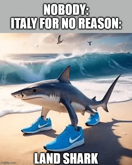 so this is italian brainrot | NOBODY:
ITALY FOR NO REASON:; LAND SHARK | image tagged in brainrot | made w/ Imgflip meme maker