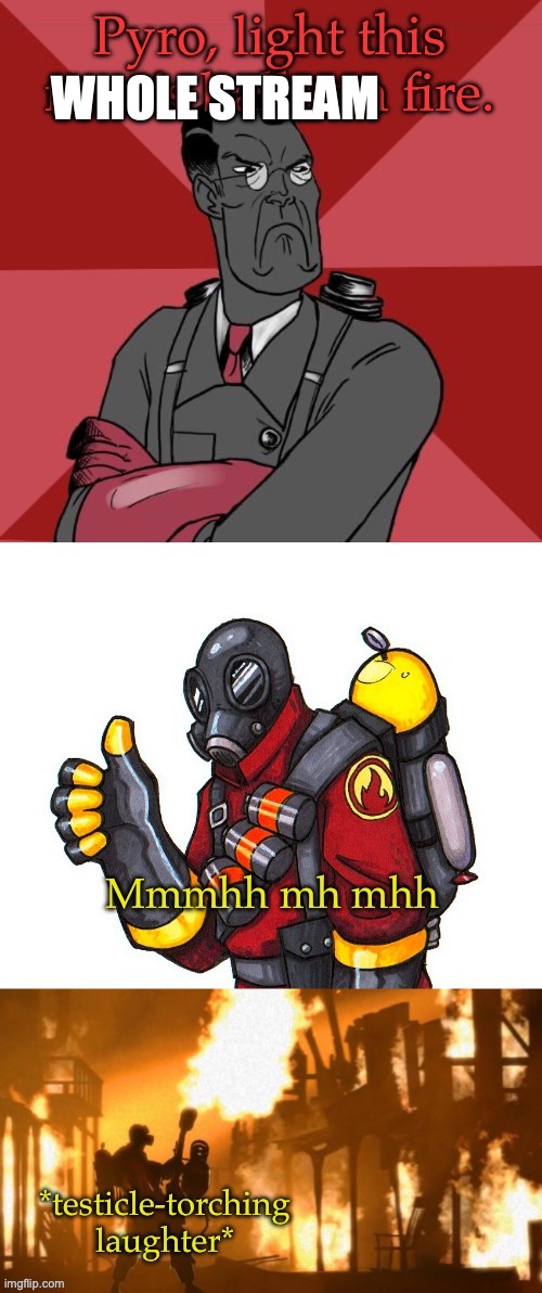 Pyro, light his balls | WHOLE STREAM | image tagged in pyro light his balls | made w/ Imgflip meme maker