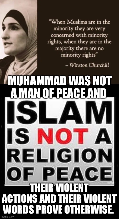Even they say that there’s no such thing as a “moderate Muslim”… | THEIR VIOLENT ACTIONS AND THEIR VIOLENT WORDS PROVE OTHERWISE. | image tagged in political meme,islam is not a religion of peace,actions and words | made w/ Imgflip meme maker