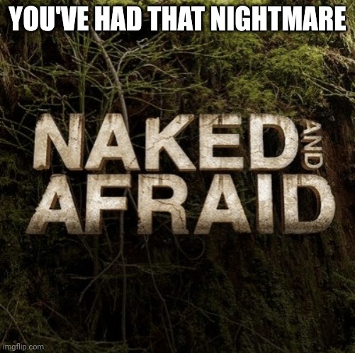 Nightmare | YOU'VE HAD THAT NIGHTMARE | image tagged in naked and afraid,nightmare,phobia | made w/ Imgflip meme maker