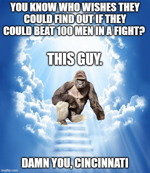 MURDERERS! | YOU KNOW WHO WISHES THEY COULD FIND OUT IF THEY COULD BEAT 100 MEN IN A FIGHT? THIS GUY. DAMN YOU, CINCINNATI | image tagged in amc ape moon harambe,cincinnati,harambe,sports | made w/ Imgflip meme maker