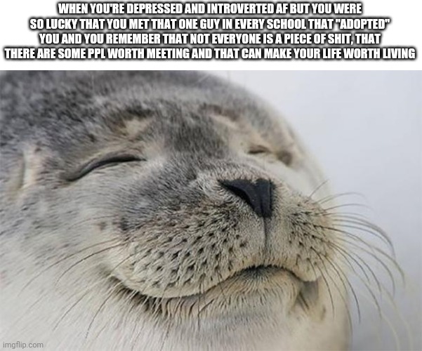Remember, life is always worth living, no matter what | WHEN YOU'RE DEPRESSED AND INTROVERTED AF BUT YOU WERE SO LUCKY THAT YOU MET THAT ONE GUY IN EVERY SCHOOL THAT "ADOPTED" YOU AND YOU REMEMBER THAT NOT EVERYONE IS A PIECE OF SHIT, THAT THERE ARE SOME PPL WORTH MEETING AND THAT CAN MAKE YOUR LIFE WORTH LIVING | image tagged in memes,satisfied seal | made w/ Imgflip meme maker