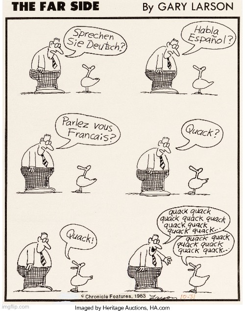 image tagged in comics,the far side,speaking duck,communication | made w/ Imgflip meme maker