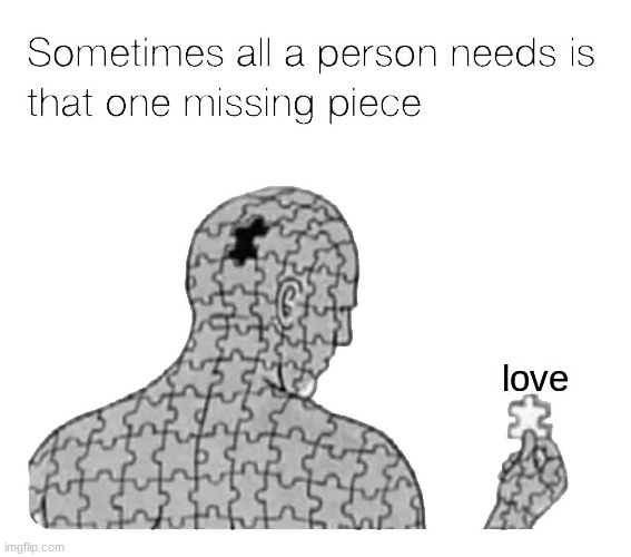 Unfortunately, it's something I'll never get | love | image tagged in that one missing piece | made w/ Imgflip meme maker