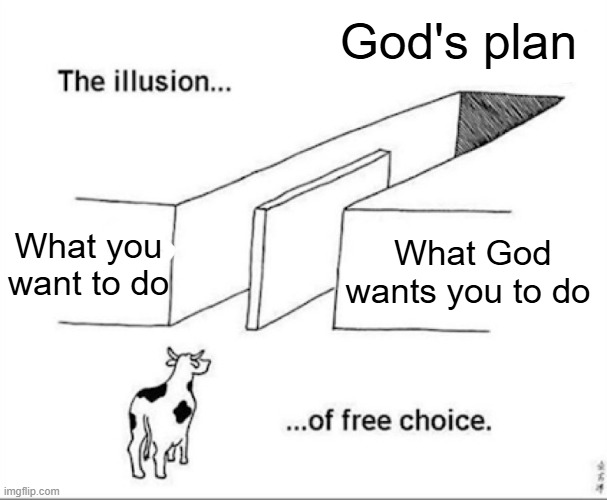 Illusion of free choice | God's plan; What you want to do; What God wants you to do | image tagged in illusion of free choice | made w/ Imgflip meme maker