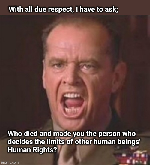 With all due respect, I have to ask; Who died and made you the person who
decides the limits of other human beings'
Human Rights? | image tagged in you can't handle the truth | made w/ Imgflip meme maker