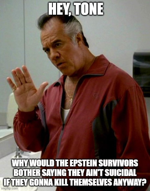 We All Wondering | HEY, TONE; WHY WOULD THE EPSTEIN SURVIVORS BOTHER SAYING THEY AIN'T SUICIDAL IF THEY GONNA KILL THEMSELVES ANYWAY? | image tagged in paulie sopranos | made w/ Imgflip meme maker