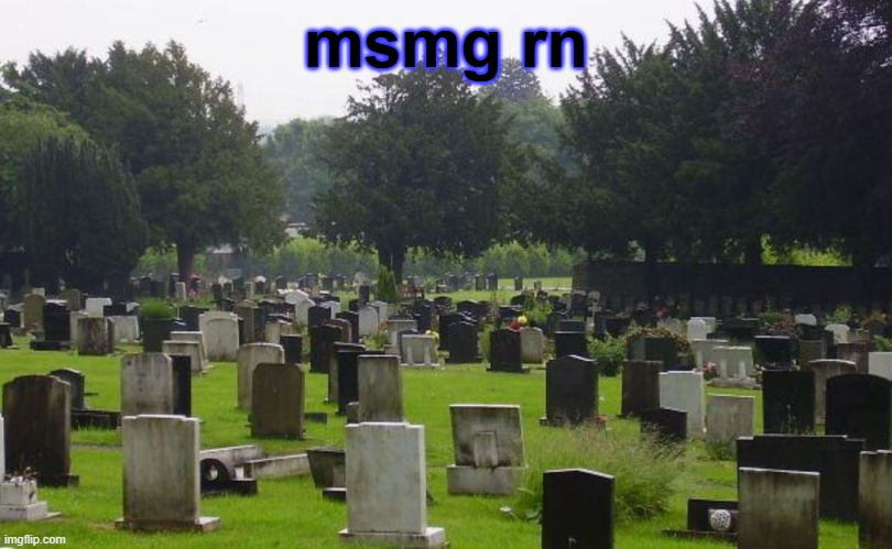 Graveyard | msmg rn | image tagged in graveyard | made w/ Imgflip meme maker