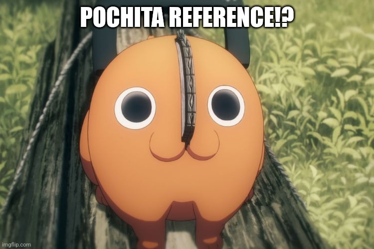 You know what you did | POCHITA REFERENCE!? | image tagged in you know what you did | made w/ Imgflip meme maker