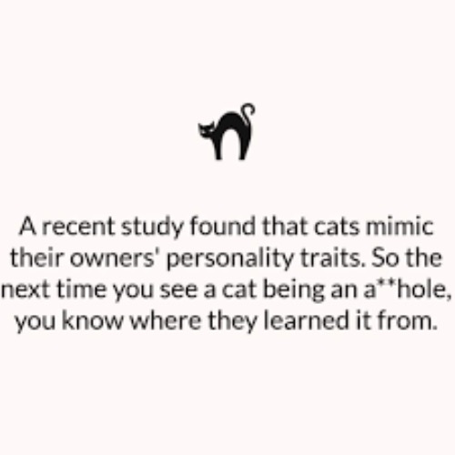 Funny Study | image tagged in cats,funny cats,aholes,personality,bad behavior,study | made w/ Imgflip meme maker
