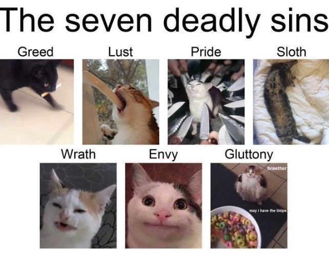 7 Deadly Sins | image tagged in funny cats,cats,seven deadly sins,guilty,hilarious,cats do them all daily without remorse | made w/ Imgflip meme maker