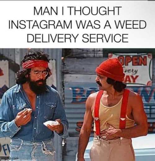 Instagram | image tagged in eyeroll,instagram | made w/ Imgflip meme maker